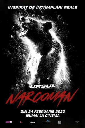 Ursul narcoman