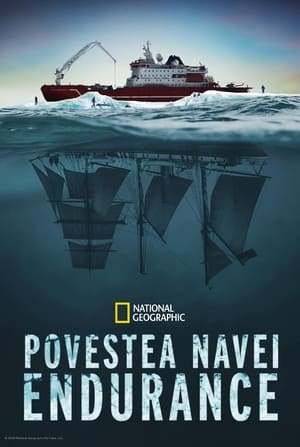 Povestea navei Endurance